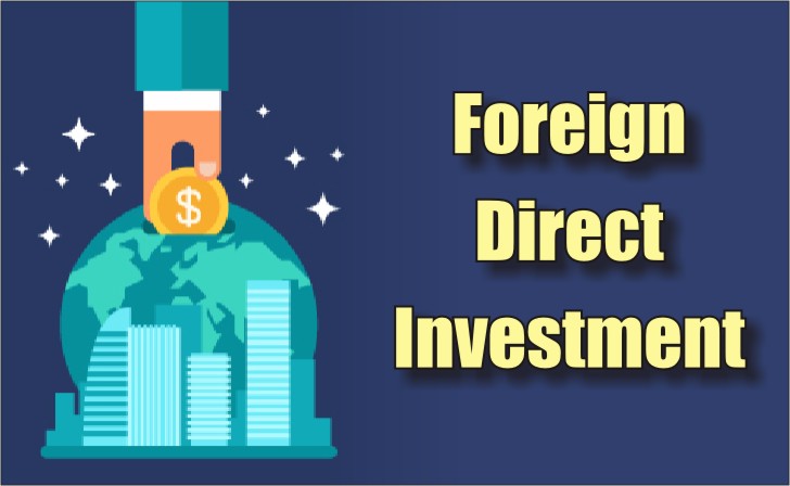 Vertical Foreign Direct Investment